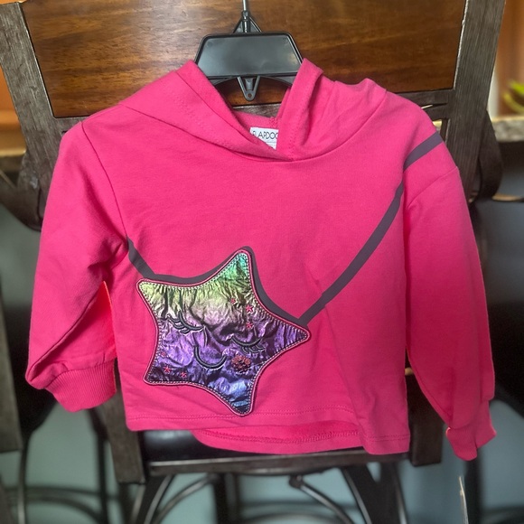 Flapadoodle hoodie! NWT. Hoodies with Iridescent Star Pocket Purse. Sizes 2 & 3! - Picture 2 of 5